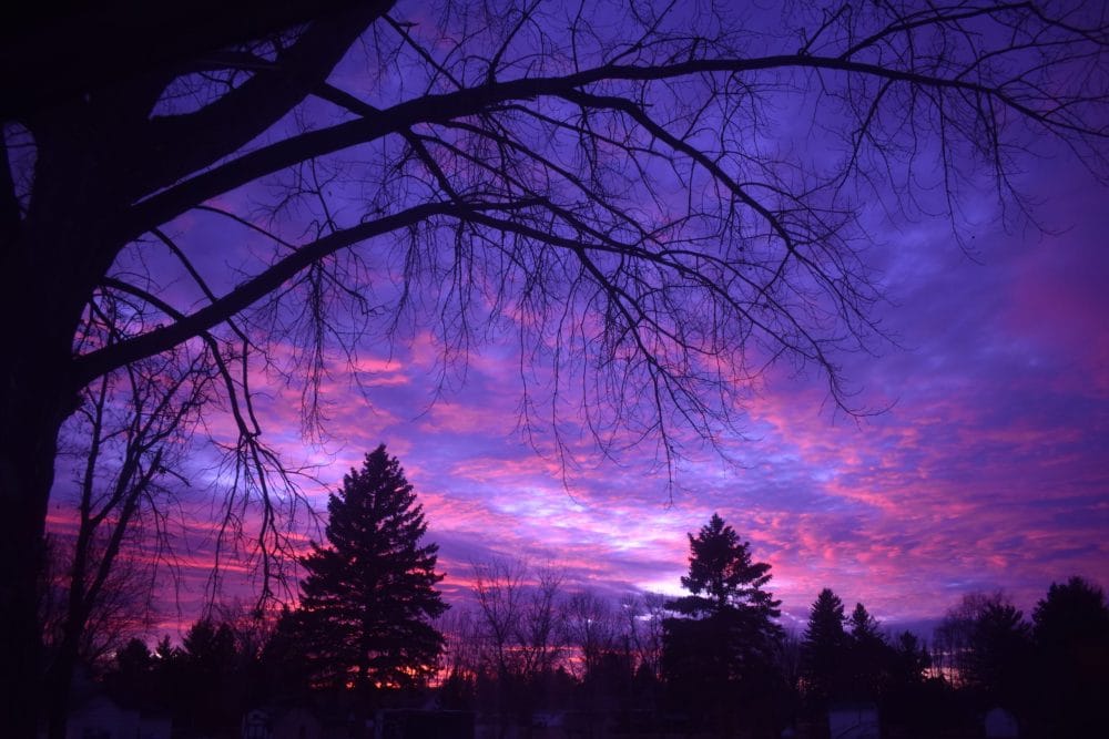 Divination and an Intro to Oracle Grove