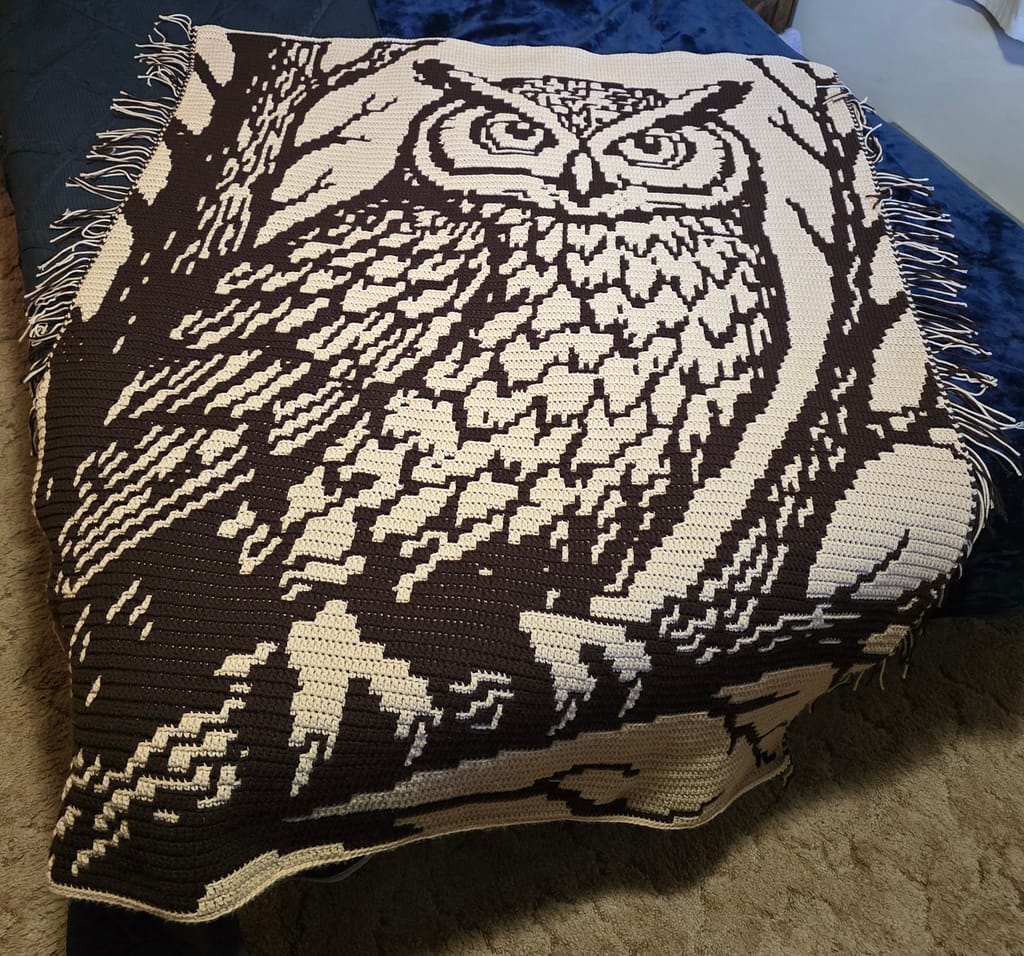 Mosaic Overlay Owl