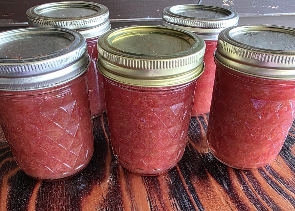 Five Jars of Rhubarb Jam cooling on the countertop