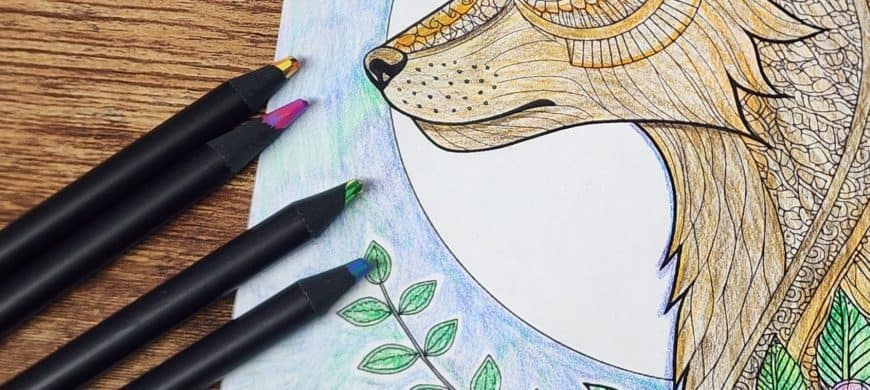 partially colored coloring page of wolf head showing colored pencil being used